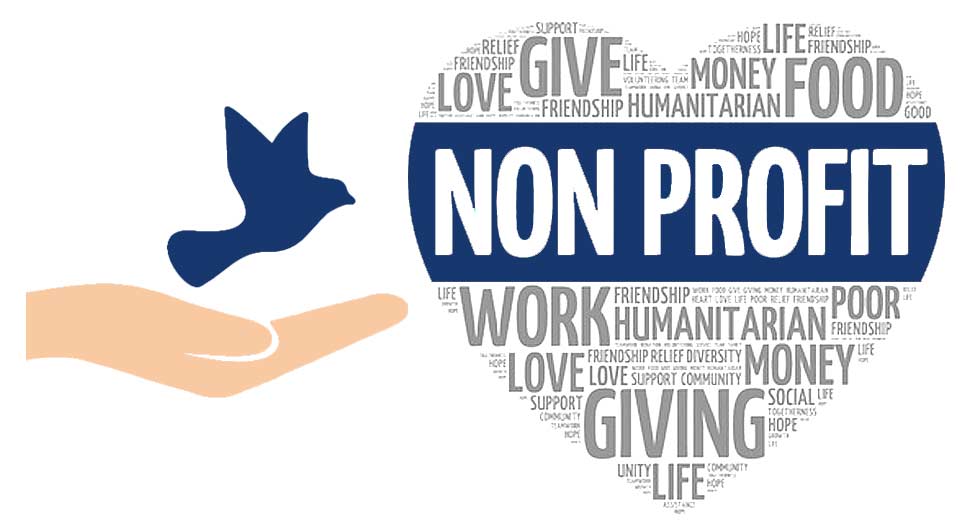 Audit for Non-Profit Organizations India